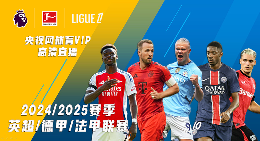 反映了各国 反映了各国