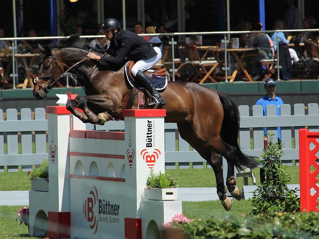 凭借稳定的 凭借稳定的