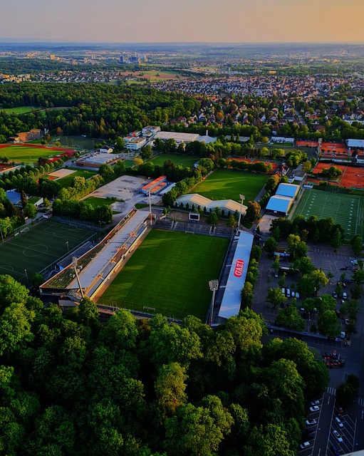 凭借他出色 凭借他出色