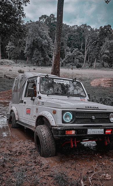 情绪波动 情绪波动