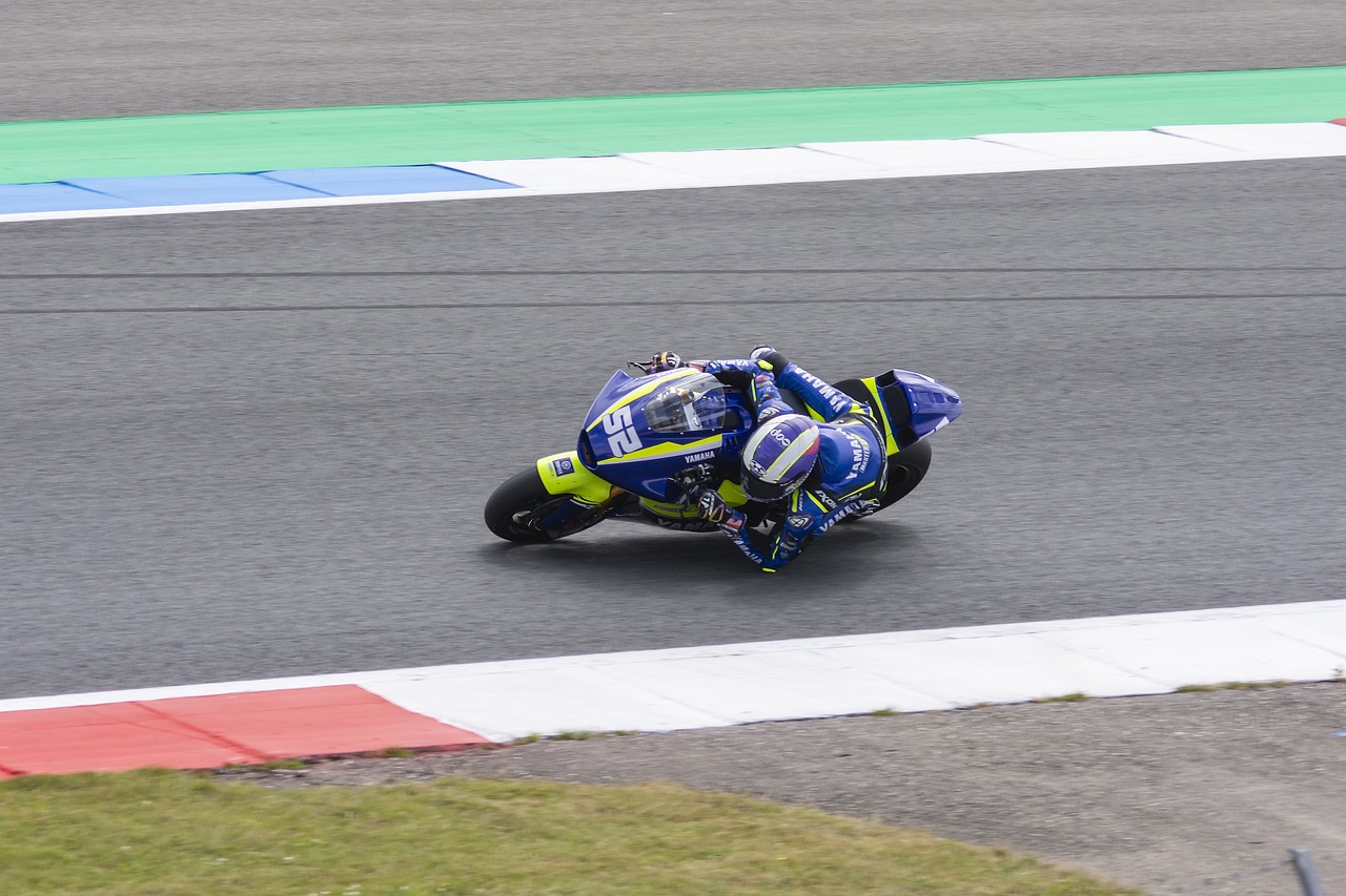 在職業運動 在職業運動