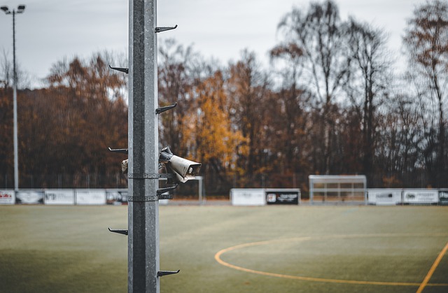 挪威的防守 挪威的防守