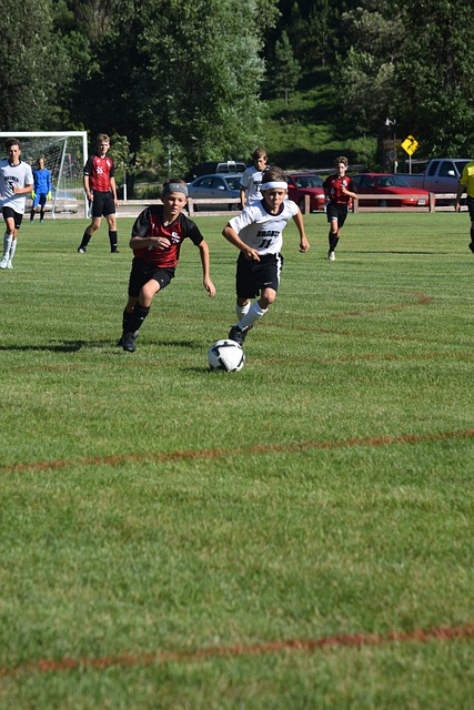 临着类似的 临着类似的