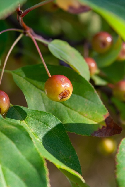 结合经验丰 结合经验丰