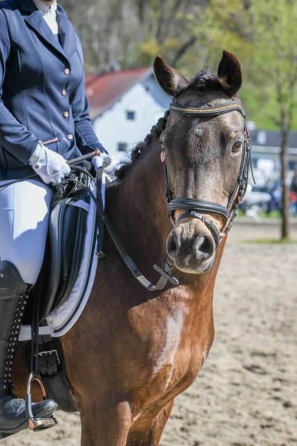 并谈及队友 并谈及队友