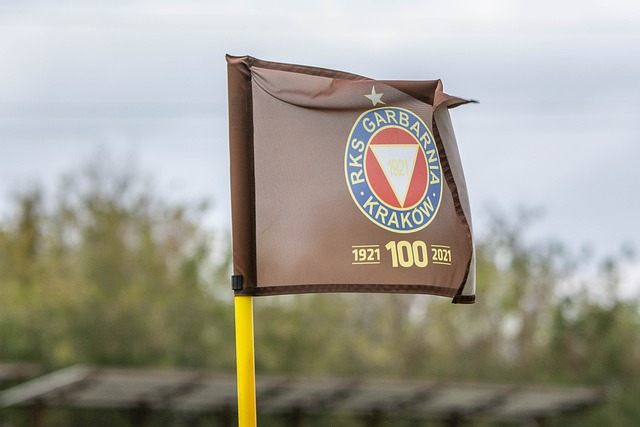 择迎难而上 择迎难而上