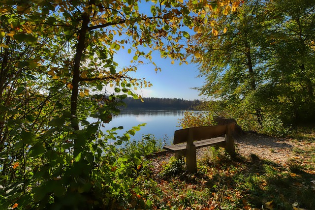 使其在歌曲 使其在歌曲