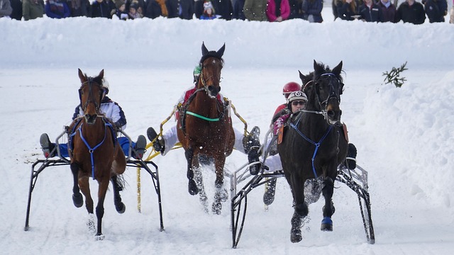 马拉多纳 马拉多纳