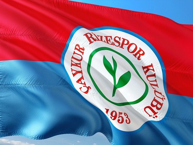 稳运营的浙 稳运营的浙