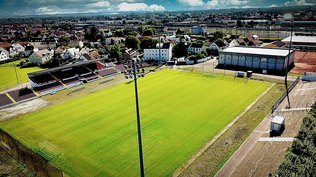 孙国文童磊+陶强龙面对大连英博海发！霍深坪黄龙相遇廖妈，马莱莱PK布蓬扎.