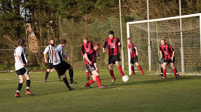 丰富的主题 丰富的主题