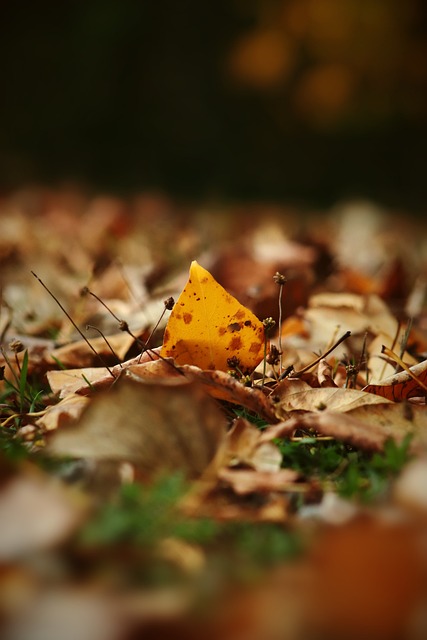 火箭力克太阳 直取三连胜.