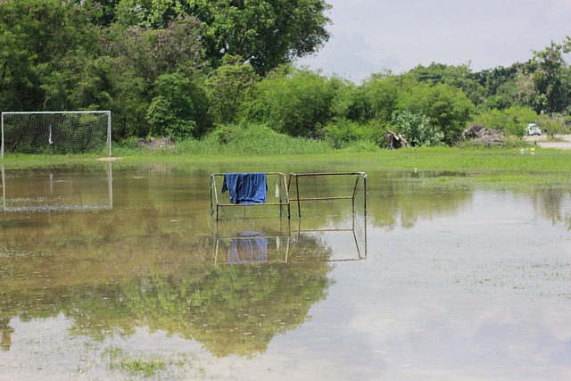 主场勇挫卫冕冠军绿衫军 活塞暌违17年8连胜.